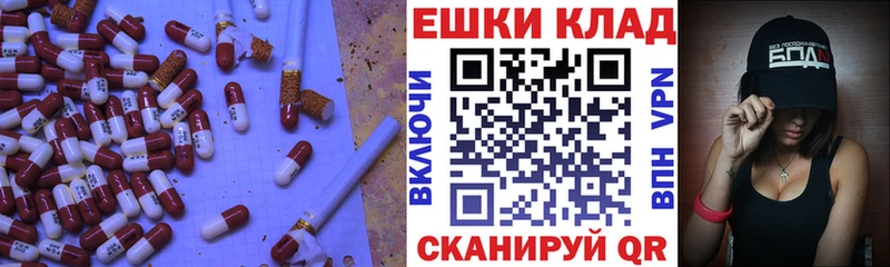 закладка  Кашин  KRAKEN рабочий сайт  Экстази Punisher 