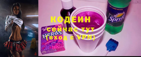 spice Снежинск