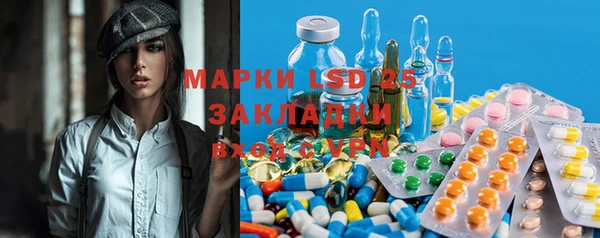 ешки Алзамай