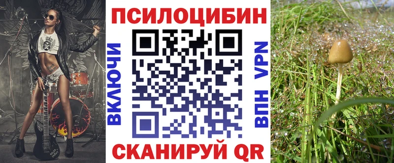 цена наркотик Кашин Псилоцибиновые грибы Psilocybe